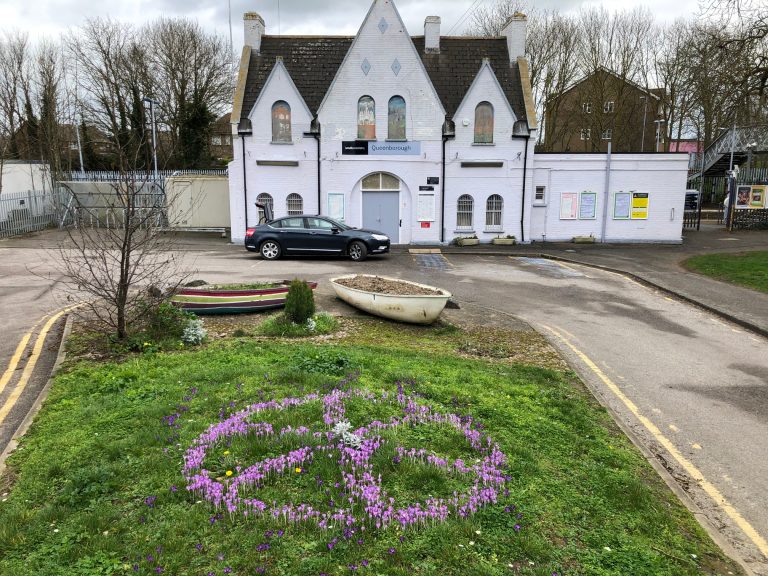 A display of crocuses on a lawned area in front of Queenborough station