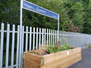 Planter at Cuxton station
