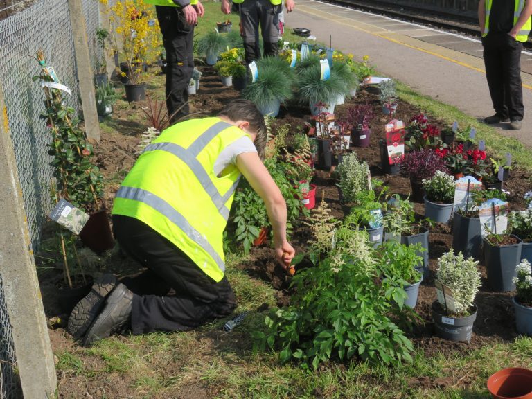 Planting in progress in the verge alongside a station platform.