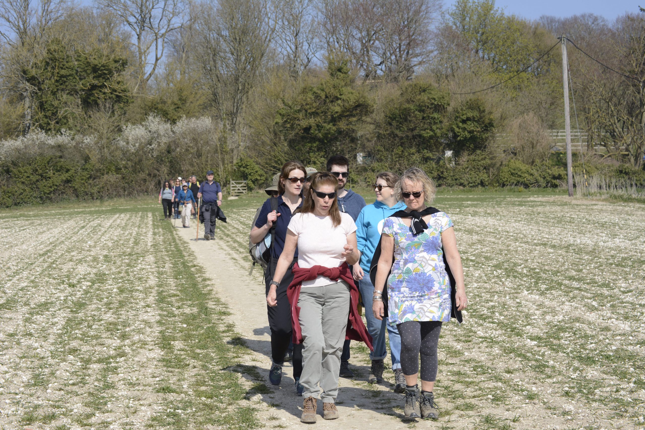 A group of walkers on a path across a field