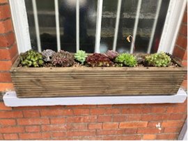 window planter charing 2022 adoption