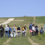 Walkers gaze at a large white chalk cross on the green hillside