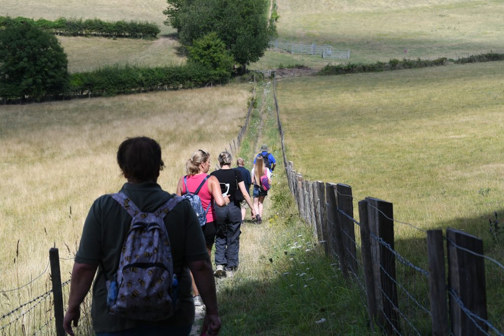 A line of walkers descend on a path between green fields