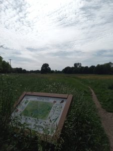 An information board detailing wildlife at Yalding Lees, a path stretches across a green field, there are trees in the distance. The sky is grey and cloudy.