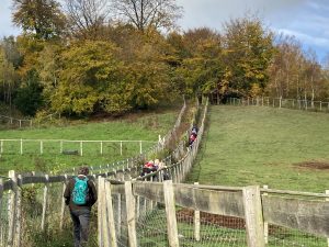 A line of walkers ascending a steep slope out of a valley. They are on a path between fences across green fields, heading to woodland on top of the hills. The sky has patches of blue but is mostly grey clouds.
