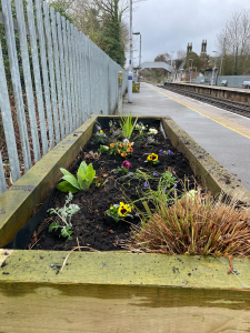A wooden planter on a station platform with freshly planted flowers and shrubs. The station building on the opposite platform and footbridge form the background.