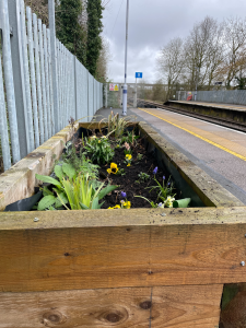 A wooden planter on a station platform with freshly planted flowers and shrubs.