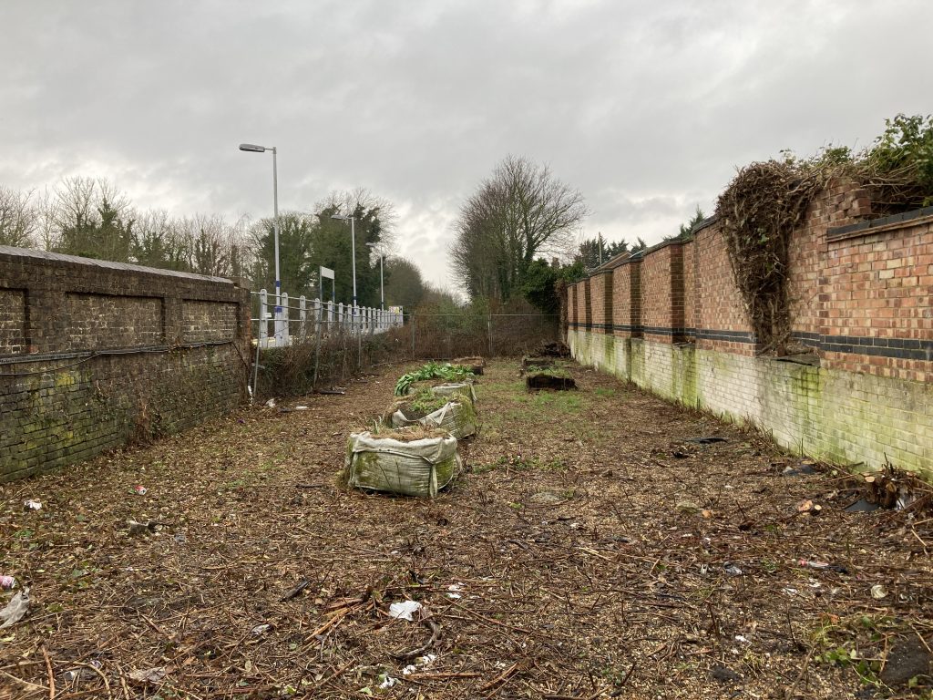 A patch of land, cleared of overgrown vegetation. The remnants of a line of planters crosses the middle. It is bordered on two sides by walls with fencing at the far end.