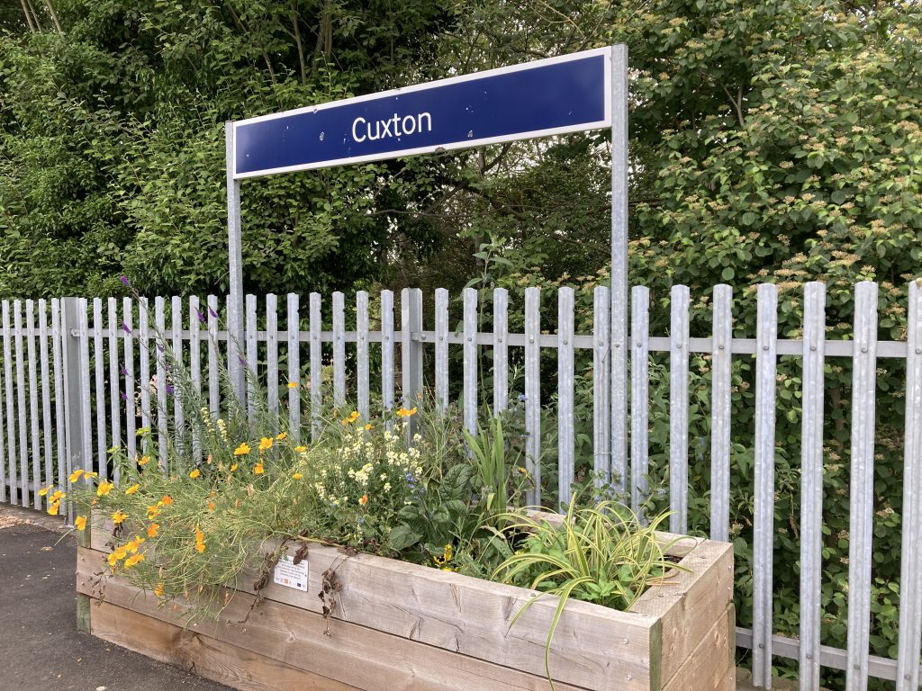 A large wooden planter full of colourful flowers on the station platform at Cuxton