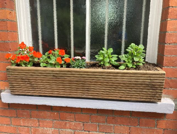 Colouful flowers in a window box