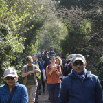 A large crowd of people walking two abreast along a trail lined with green trees and hedgerows.