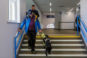 A guide dog helps his owner to navigate a flight of stairs inside a station building