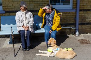 A guide dog user sits at a bench with their guide dog and another person
