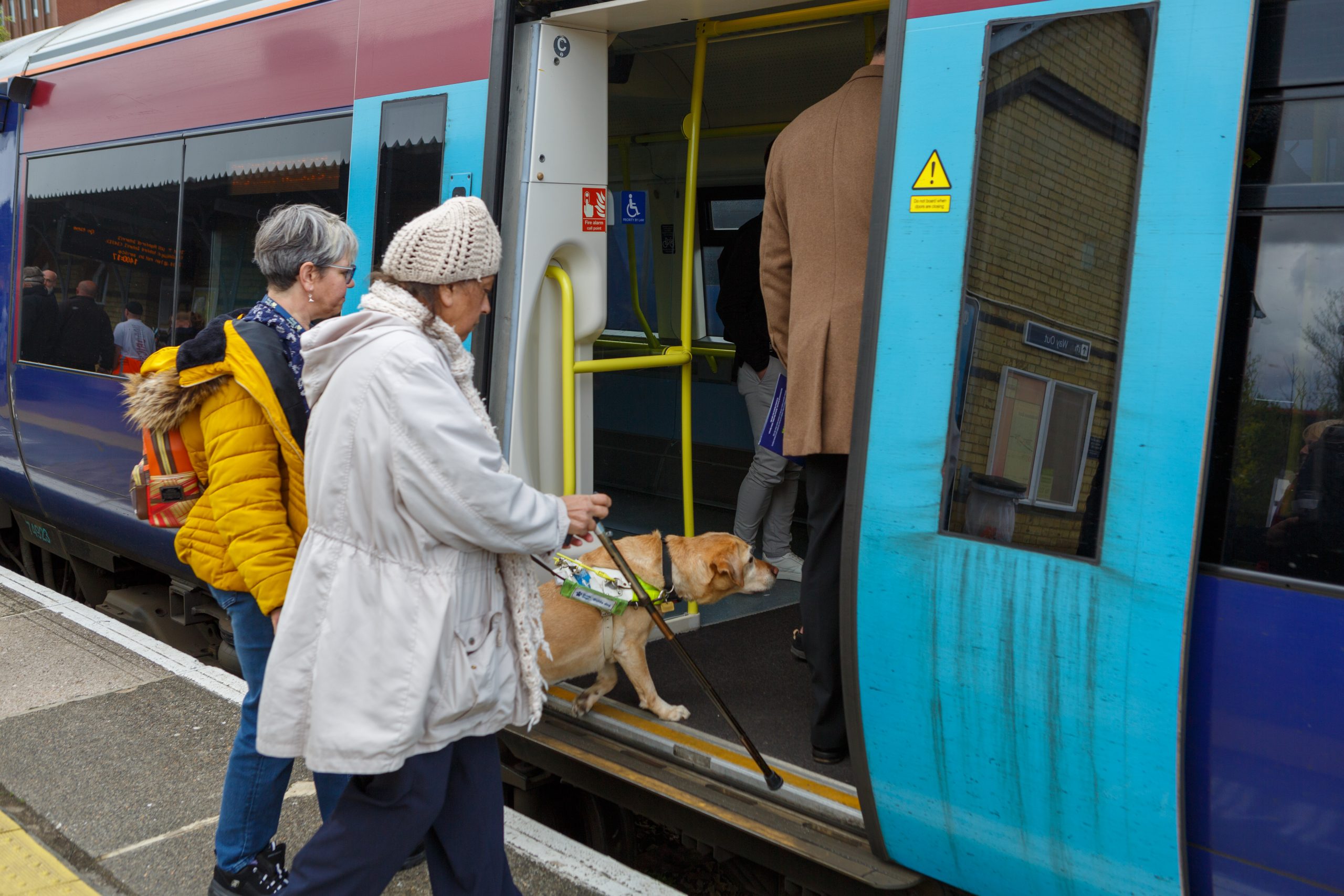 A guide dog leads there owner and an accompanying volunteer onto a train.