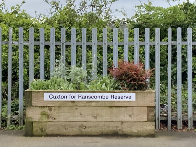 A wooden planter full of shrubs on a station platform. An attached sign reads "Cuxton for Ranscombe Reserve".