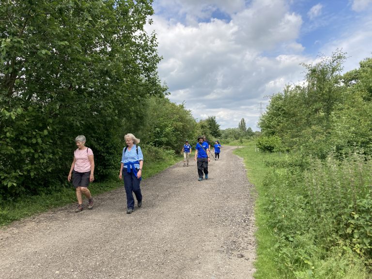 A group of walkers on a wide gravel path between trees and hedgerows