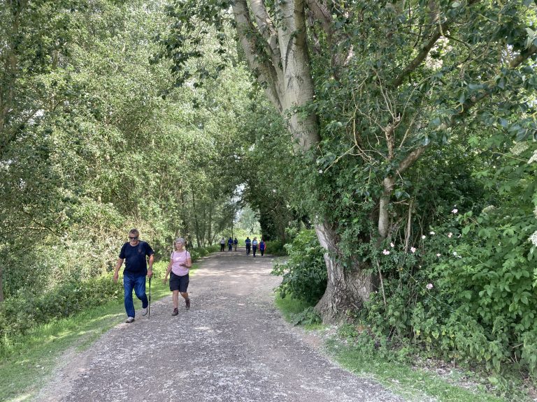 A group of walkers on a gravel path between in woodland