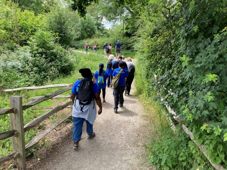 A group of walkers head along a gravel path between green trees and hedgerows.