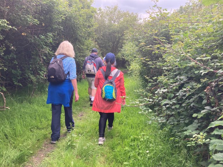 A group of walkers on a narrow muddy path between green hedgerows