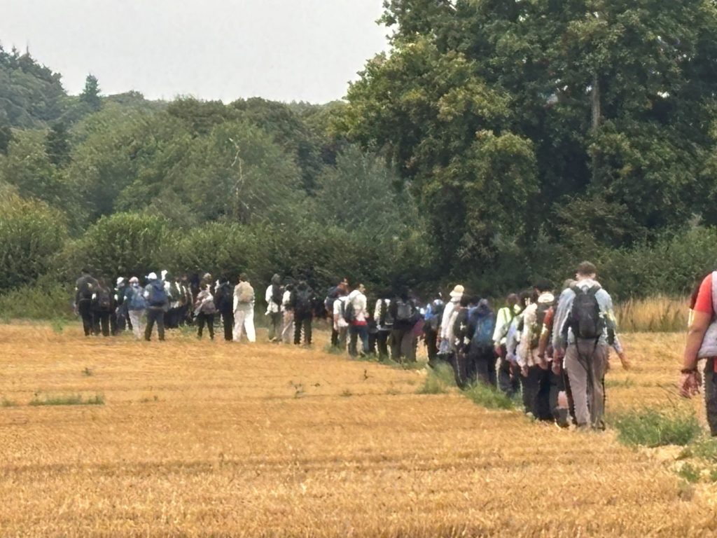 View of a long line of walkers, heading away from camera in single file, crossing a field of corn stubble towards woodland.