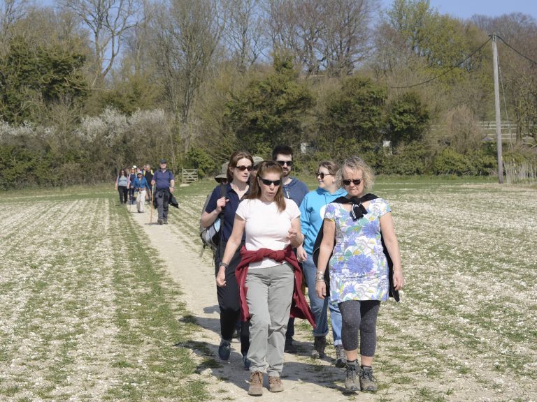 Walkers in double file follow a dirt path across a field, they are heading towards camera