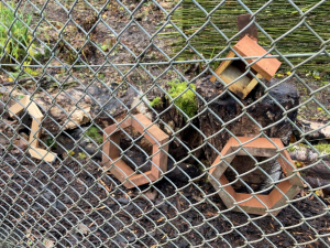 Hexagon habitats, large clay structures, some with planting or bird boxes to encourage wildlife. They are placed around some rotting logs and treee stumps behind a wire link fence