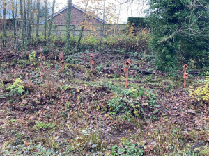 Bird boxes in the nature garden