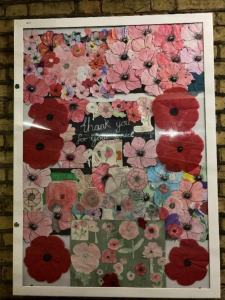 A collage of poppy images mounted in a display cabinet.