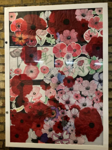 A collage of poppy images mounted in a display cabinet.