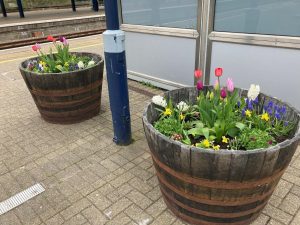Planters of colourful flowers on a station platform