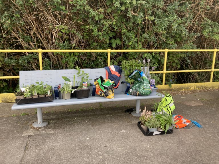 A selection of plants laid out on a station bench.