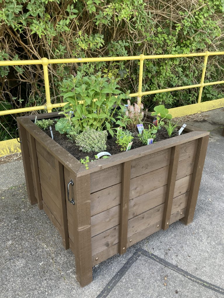 A wooden planter with fresh planting on a station platform.