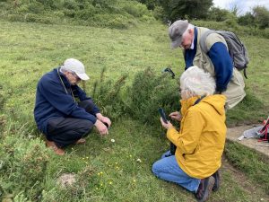 Three people crouch, kneel or look down as one explains the bug they have found on a flower