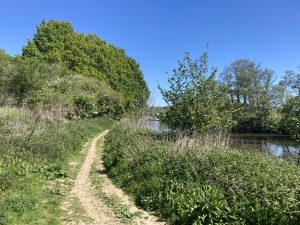 A narrow unmade path bounded on one side by tall green vegetation, the other has lighter growth and glimpses of the adjacent river