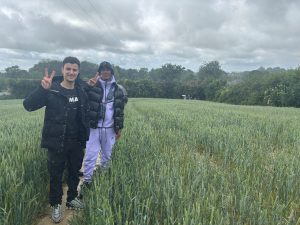 Students walking along a narrow path through a field of green crops