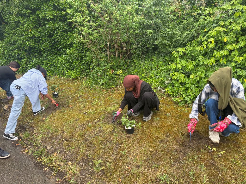 People planting flowers in a wide grass verge