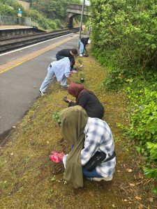 People planting flowers in a wide grass verge beside a station platform.