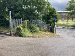 A grassed roadside verge in front of railings. Behind the railings are tress and hedges.