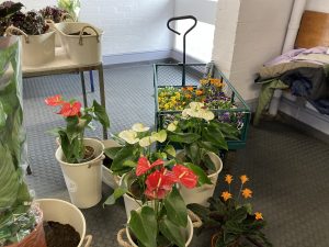 A series of planters and potted plants in a station booking ahll, awaiting placement by volunteer station adopters.