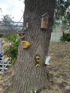 Bug hotels, bird boxes and wellington boot planters secured to the trunk of a tree.
