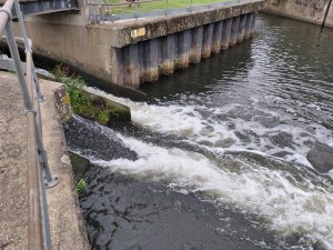 Water flowing swiftly through a sluice